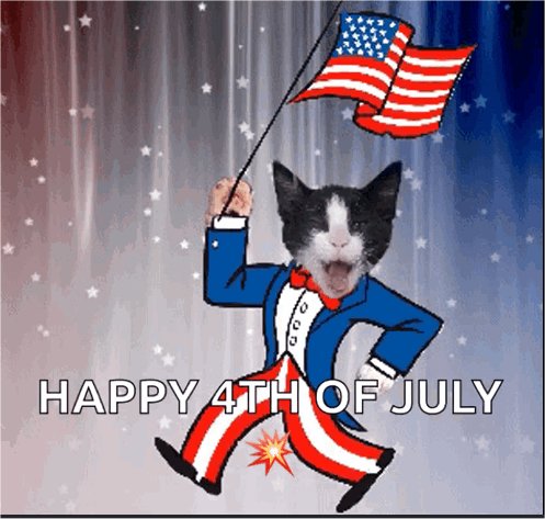 4 july  caturday majorgeeks.jpg